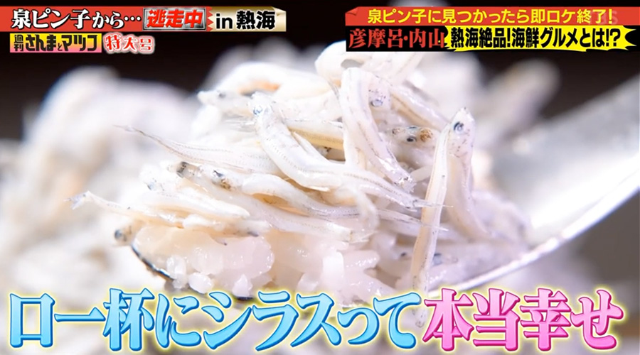 TBSテレビ「週刊さんまとマツコ熱海SP」